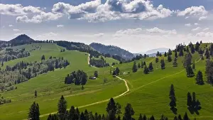 Tatra Prints: Pieniny National Park landscape, aerial drone view