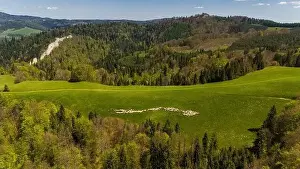 Tatra Prints: Pieniny National Park landscape, aerial drone view