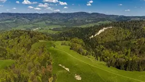Pieniny National Park landscape, aerial drone view