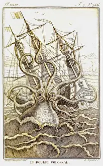Vintage Artwork Prints: Pierre Dénys de Montfort