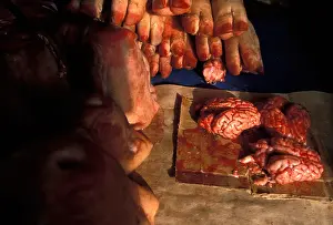 Heads Prints: Pig brains, butcher shop Tbilisi, Georgia