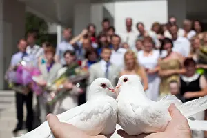 Dove Prints: Pigeons at the wedding. The tradition of launching birds in the sky