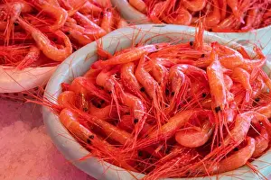 Shrimp Prints: A pile of shrimps for sale at a fish counter
