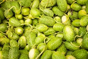 Spiky Prints: Pile of spiky green cucumis anguria fruit on display at a tropical fruit market in Bahia