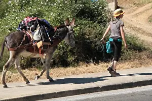 Donkey Prints: pilgrim with donkey Camino Santiago