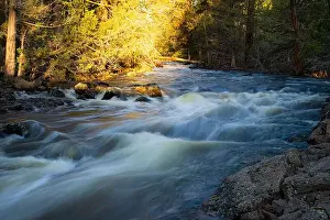 Impressive Prints: Pine Creek spring flows – Near Eagle Lake/Spalding in Lassen County, California, USA