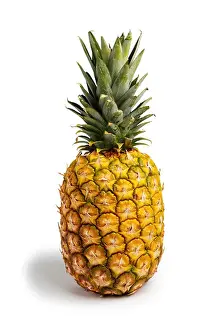 Pineapple Prints: Pineapple