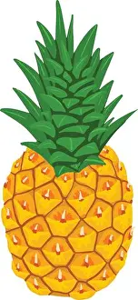 Pineapple Prints: Whole pineapple icon. Isometric of whole pineapple vector icon for web design isolated on white background