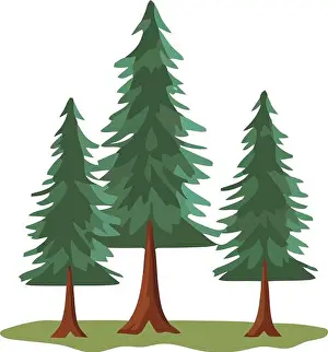 Pines Prints: three pines trees plants forest