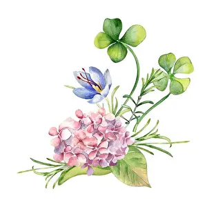 Painted Prints: Pink hydrangea, clover and crocus watercolor illustration isolated