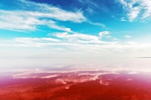 Images Dated 13th September 2020: Pink lake water under blue sky with fluffy clouds in summer day. Creative color concept