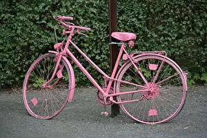 Hedge Prints: Pink painted bicycle with flat tires as decoration in front of a hedge