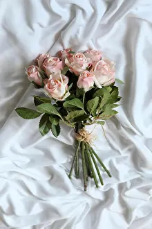 Bouquets Prints: Pink Roses Silk flower on white background