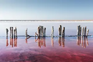 Red Lagoon Prints: Pink salt lake water with wooden posts under clear blue sky in summer day