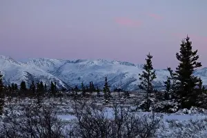 Hoof Prints: Pink sky over snowy mountain on a winter day near Delta Junction, Alaska
