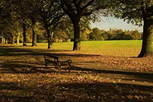 Colour Green Prints: A place to sit, Abington Park, Northampton, Northamptonshire, England, UK