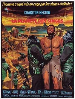 Prisoner Prints: Planet of the Apes Year : 1968 USA Director : Franklin J