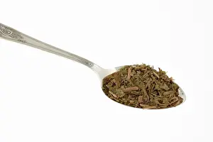 Crushed Prints: Plantaginis Majoris Folium - herbal medicinal product made from Common plantain (Plantago major L)