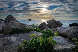 Sky Clouds Prints: Plants growing on a rocky beach with a beautiful sea sunset in the background