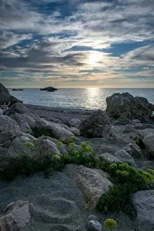 Sky Clouds Prints: Plants growing on a rocky beach with a beautiful sea sunset in the background