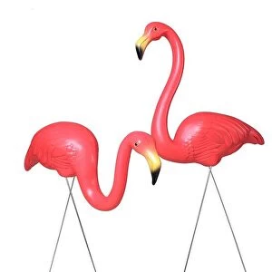 Images Dated 23rd November 2023: Plastic Flamingos