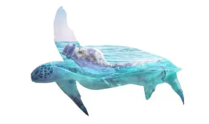 Dump Prints: Plastic garbage in ocean and turtle, double exposure. Environmental pollution