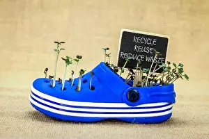 Reuse Prints: plastic shoe reused to grow seedling