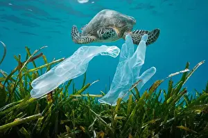 Threatened Prints: Plastic waste pollution in the ocean