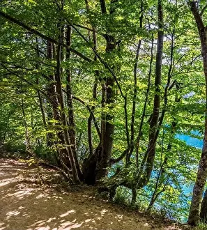 Plitvice Lakes National Park is one of the oldest and largest national parks in Croatia and UNESCO World Heritage