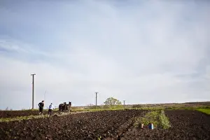 Peasant Prints: Plowing the garden. Plowing with a horse