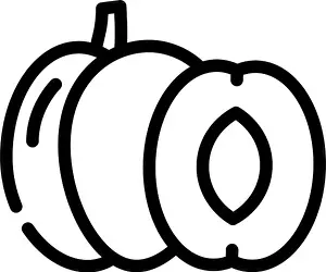 Melon Prints: plum fruit line icon vector. plum fruit sign