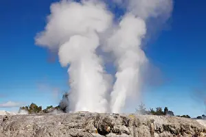 Pohutu Geyser, Whakarewarewa Thermal Valley, Rotorua, New Zealand