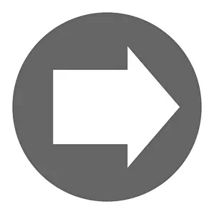 Pointer Prints: Pointer, arrow in modern flat style