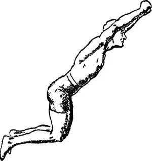 Breeds Prints: Points of the horse; a treatise on the conformation