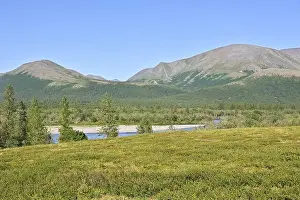 Urals Prints: Polar Ural Mountains, Sob River Valley. Summer mountain landscape of the north of Russia