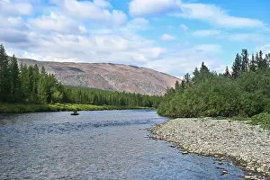 Urals Prints: Polar Ural Mountains, Sob River Valley. Summer mountain landscape of the north of Russia