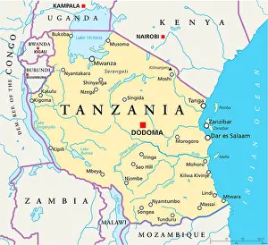Malawi Prints: Political map of Tanzania with capital Dodoma