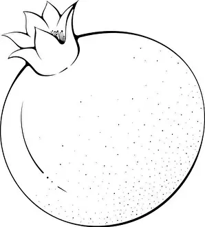Black Line Prints: Whole pomegranate line art