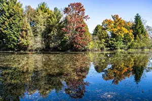 Lush Foliage Prints: Pond with colorful autumn colors
