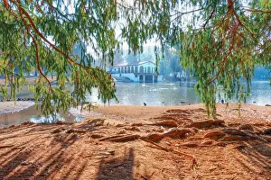 Riverside California Prints: Pond with ducks resting by the shore