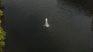 Circles Prints: Pond surface with ripples