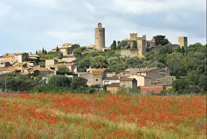 Poppy Prints: Poppy fields at Pals Palafrugell in Spain
