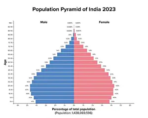 Proportion Prints: Population pyramid of India 2023
