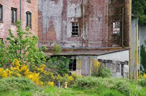 Decaying Prints: A portion of the abandoned historic Olympia Brewery building in Tumwater, Washington