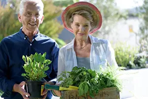 Heterosexual Couple Prints: Portrait of a happy senior couple carrying crate of leaf vegetable
