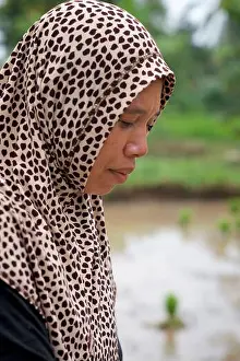 Tribaleye Prints: Portrait of a muslim woman working in a rice field, Lombok, Indonesia