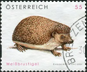 Hedgehog Prints: Postage stamp printed in Austria
