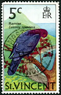 Send Prints: A postage stamp printed in Saint Vincent