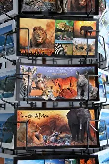 Post Card Prints: Postcards of South Africa
