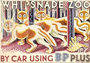 Ephemera Prints: poster for BP Petrol by artists Clifford and Rosemary Ellis